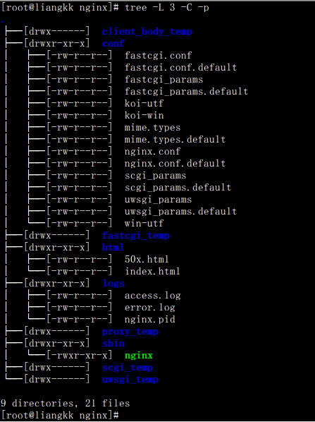 Nginx 目录结构详解_nginx目录结构怎么看-CSDN博客