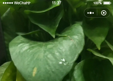 watermark,type_ZmFuZ3poZW5naGVpdGk,shadow_10,text_aHR0cHM6Ly9ibG9nLmNzZG4ubmV0L21vbmtleXNoZWVwMTIzNA,size_16,color_FFFFFF,t_70