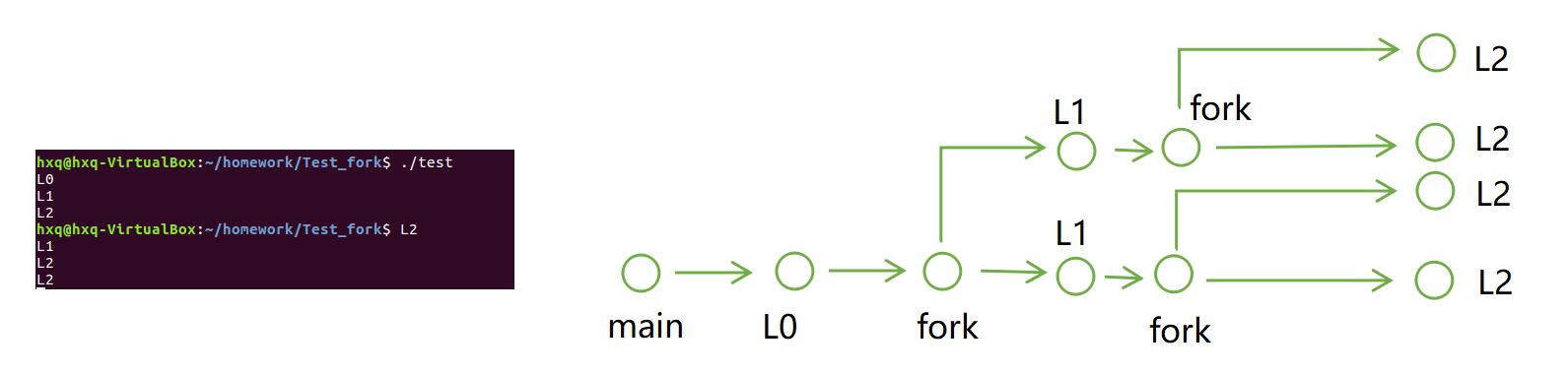 fork()应用_fork()嵌套-CSDN博客