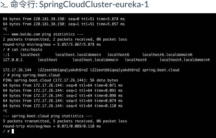 spring cloud各个微服务打包到docker容器内