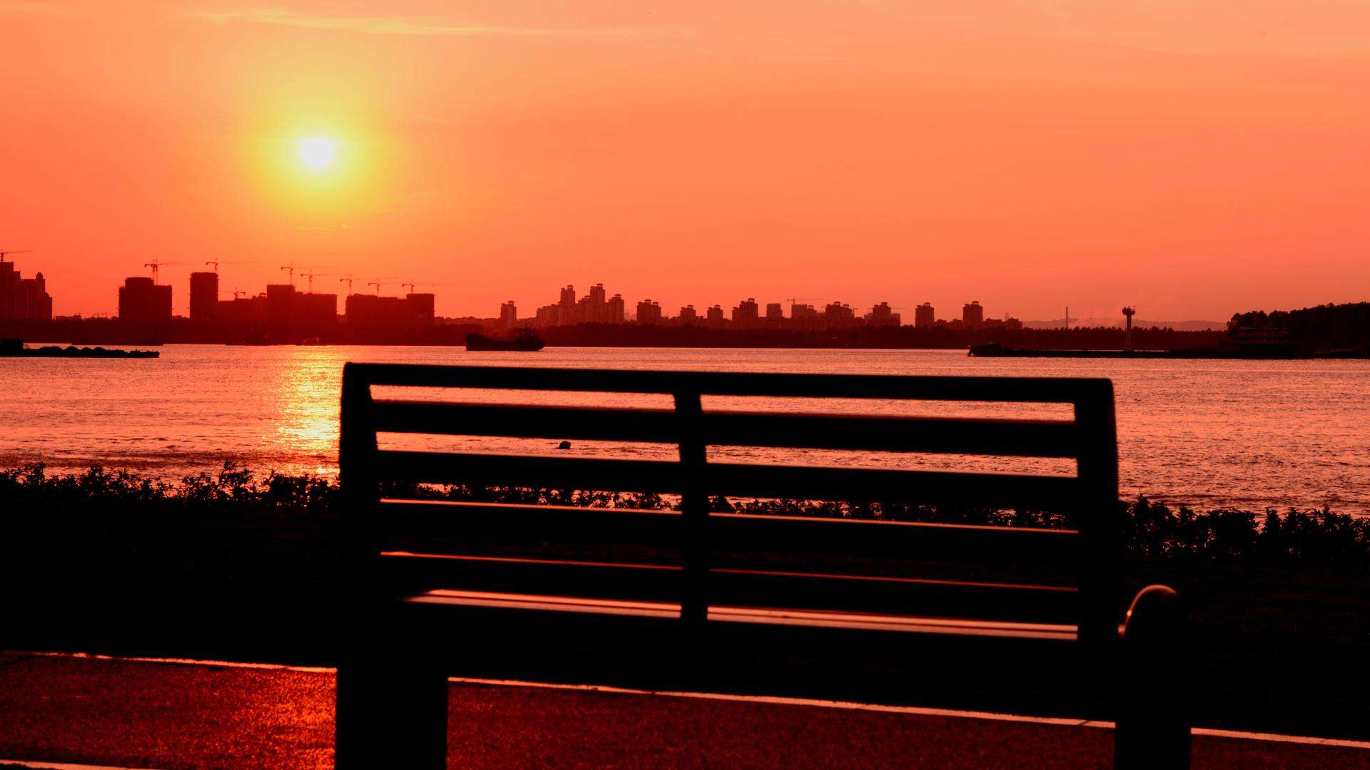 平常心简谱_平常心手机壁纸