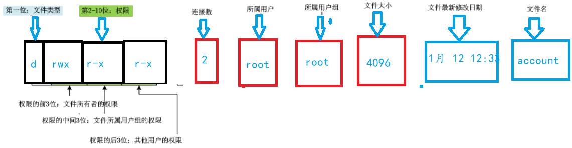 复习Linux基础操作---权限操作