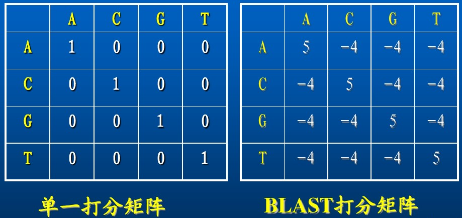 打分矩阵