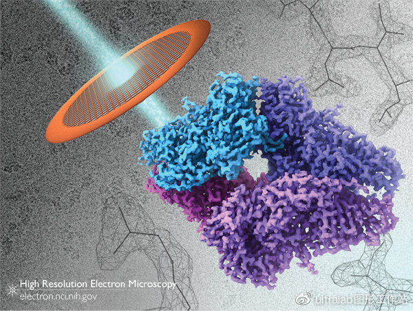 冷冻电镜(cryo-EM)三维图像重构软件Relion工作站配置推荐