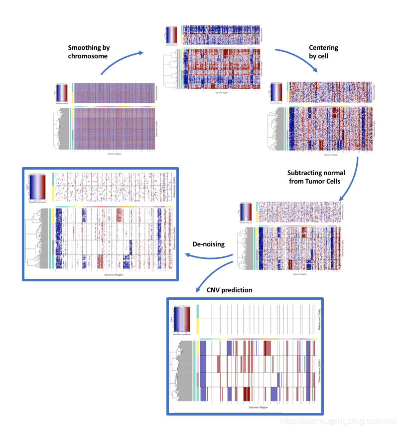 Infercnv Algorithm 使用inferCNV分析单细胞转录组中拷贝数变异_infercnv原理-CSDN博客