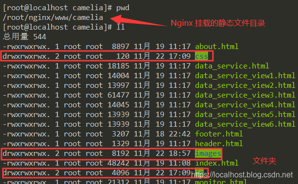 Nginx-Docker下安装Nginx并部署静态网站