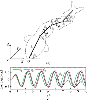 图1（a）定义描述水下机器人运动的坐标系；（b）人体关节相应的有节奏CPG输出信号