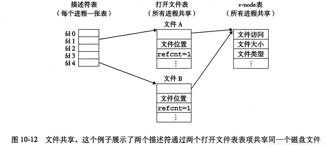 文件共享