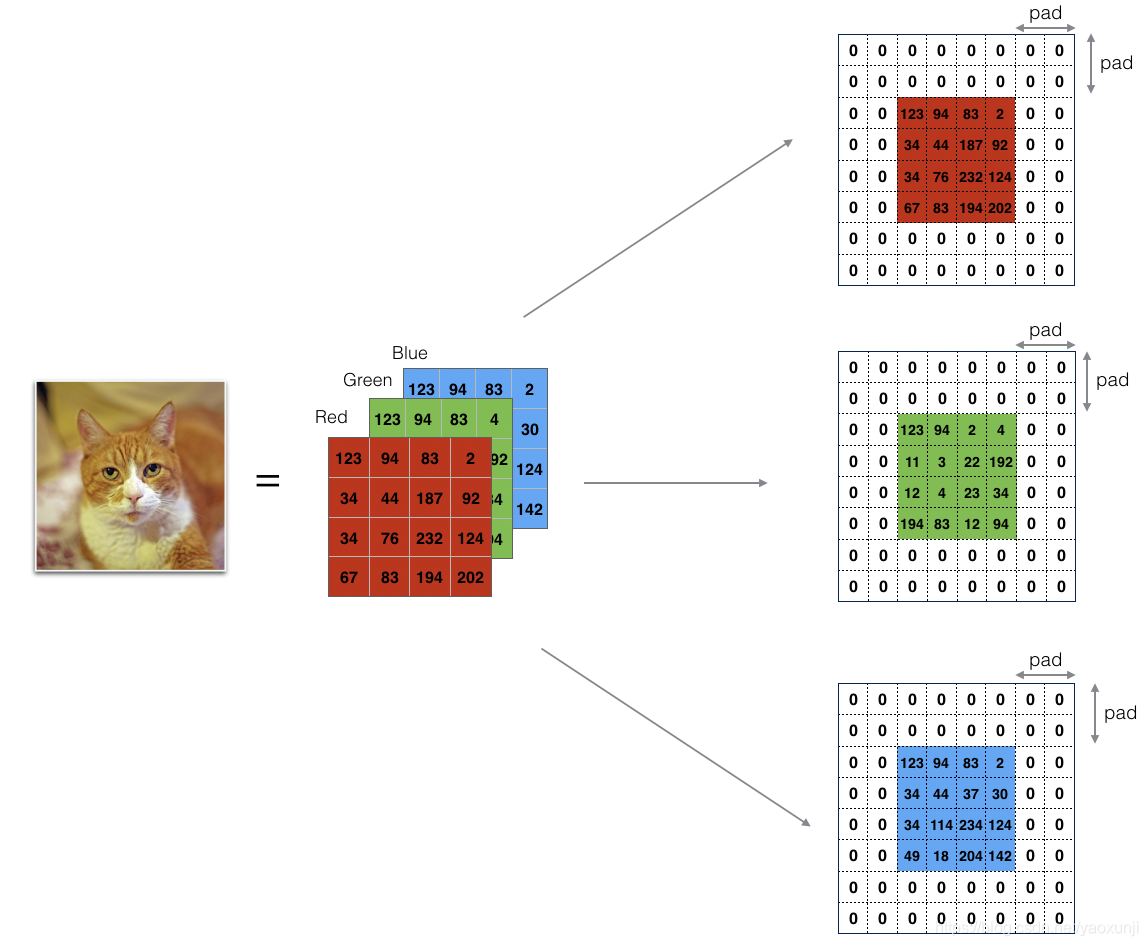 Python Numpy Implementa Una Red Neuronal Convolucional Desde Cero Python numpy implementa una red neuronal convolucional desde cero