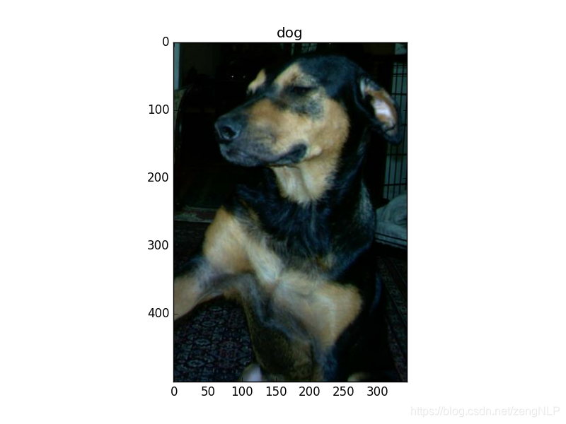 Resnet Cat Image AI实战:迁移学习之使用ResNet做分类_使用resnet101迁移学习-CSDN博客