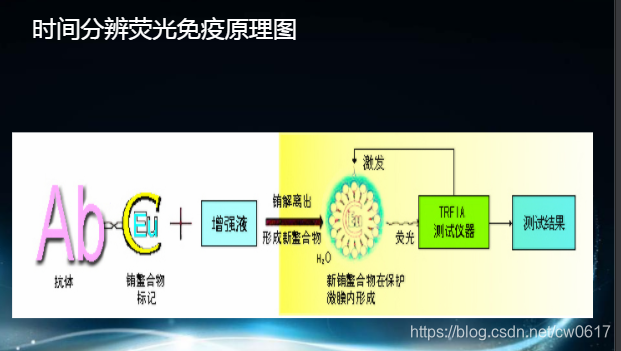时间分辨荧光免疫分析工作原理是什么