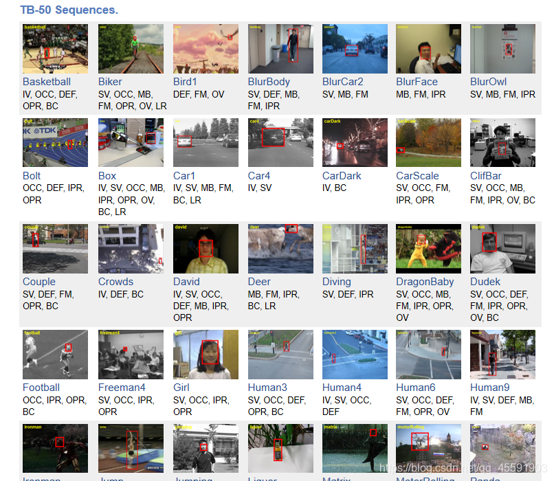Otb Coding Tutorials OTB(Object Tracking Benchmark)成功配置全过程_otb100数据集下载 csdn-CSDN博客