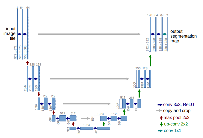 Estructura de la red U-Net