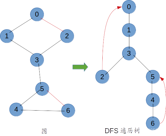 图转化为DFS遍历树