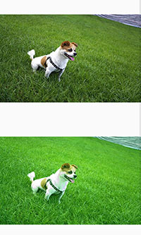 更改颜色后的对比图