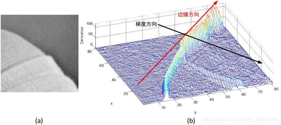 视觉后像是什么原理_视觉错觉(2)