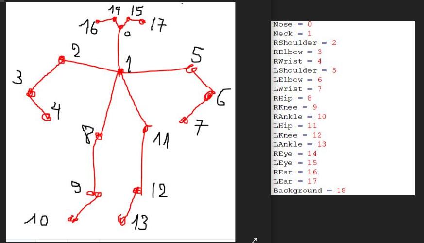 tf-openpose得到关节点的坐标（tf-openpose-estimation）_openpose输出关键点坐标-CSDN博客