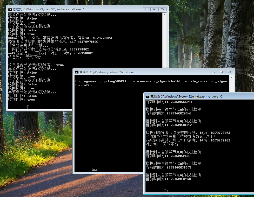 代码实现raft共识算法，并进行Demo展示_go build -o raft.exe_肉山大魔王iii的博客-CSDN博客
