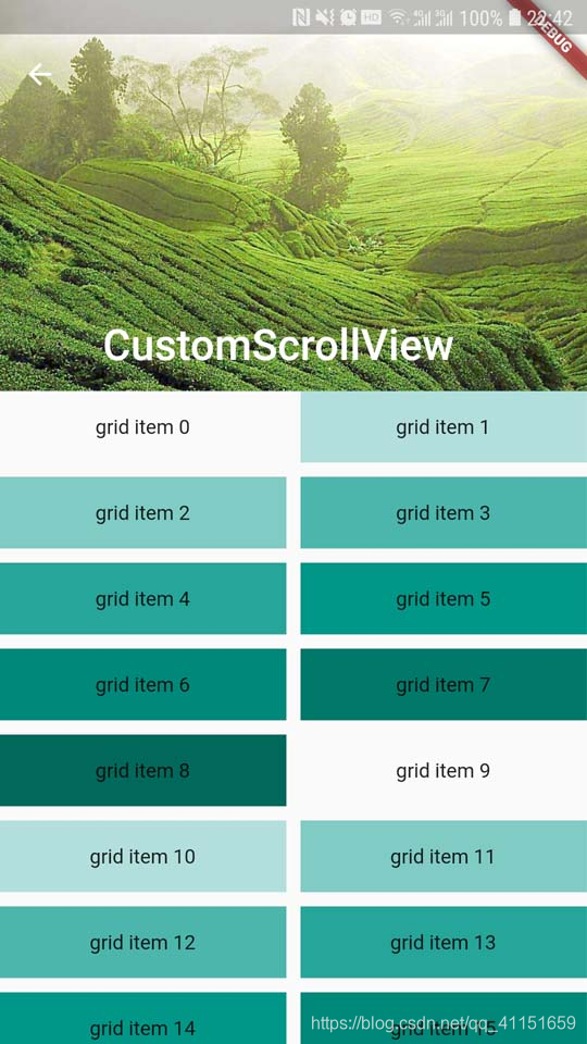 CustomScrollView