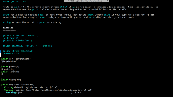 Julia语言简介及编程环境搭建_jula语言-CSDN博客