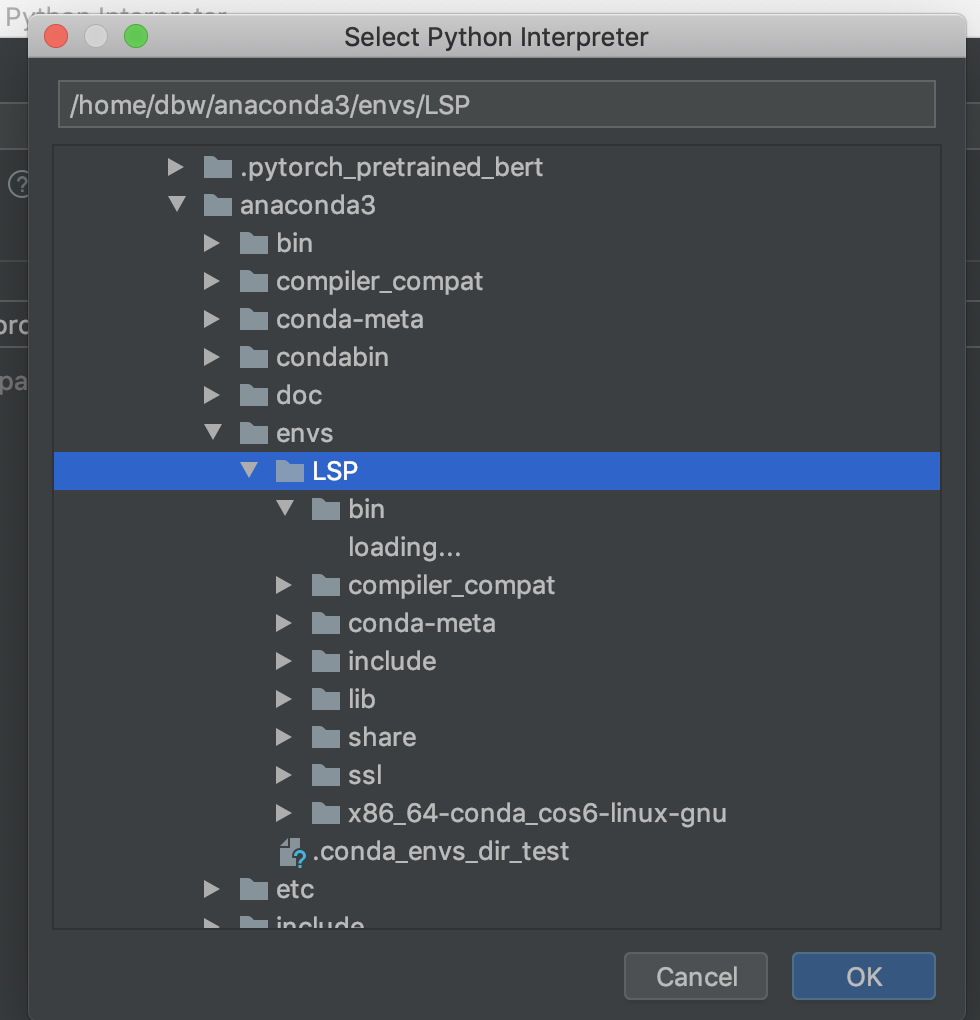 【python3】pycharm使用远程linux服务器conda/python环境在本地进行
