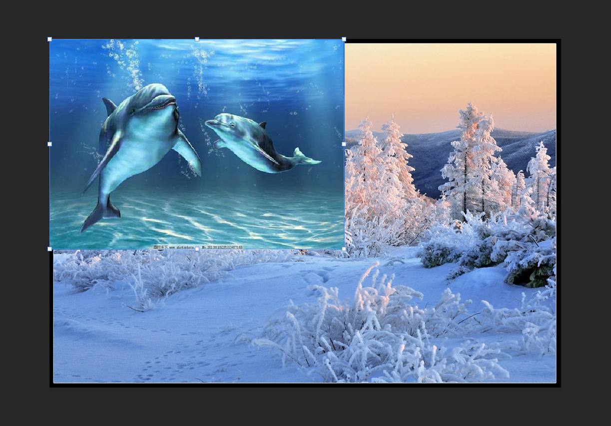 利用蒙版进行抠图