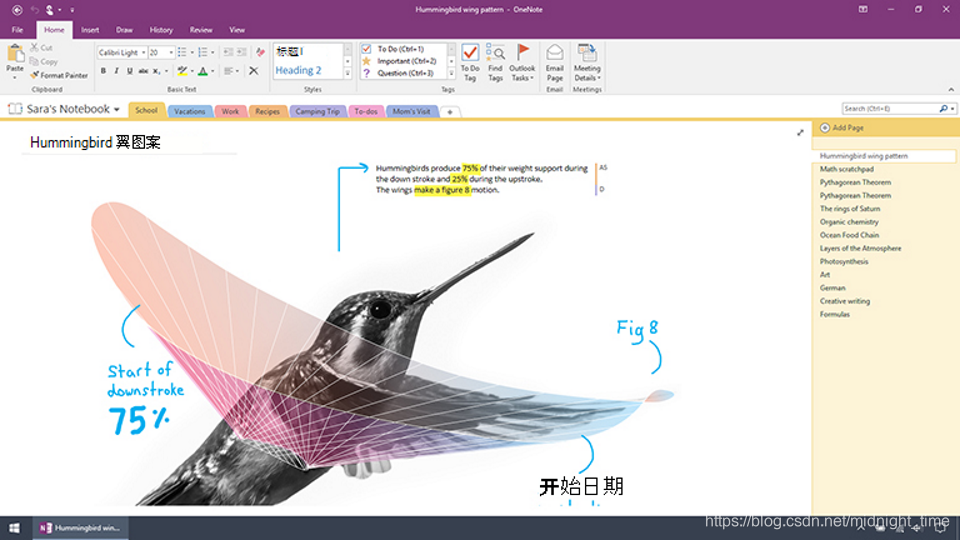What s The Difference Between OneNote And OneNote 2016 Code World what-s-the-difference-between-onenote-and-onenote-2016-code-world