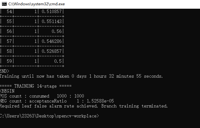 traincascade's error (Required leaf false alarm rate achieved. Branch training terminated.