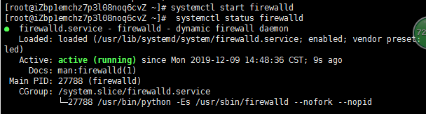 启动之后的状态