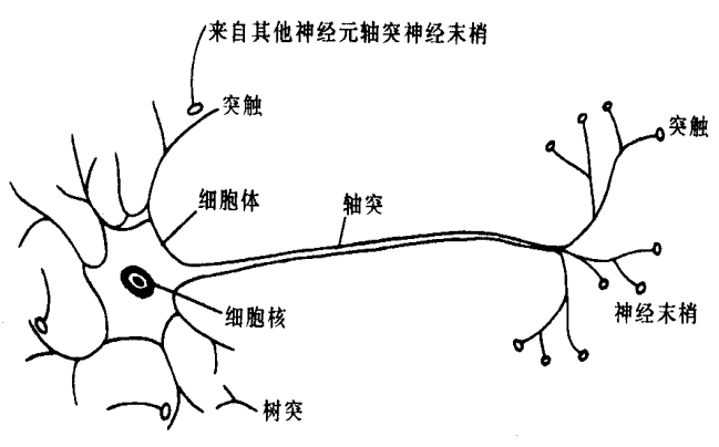 神经网络,深度学习,为什么要用**函数?