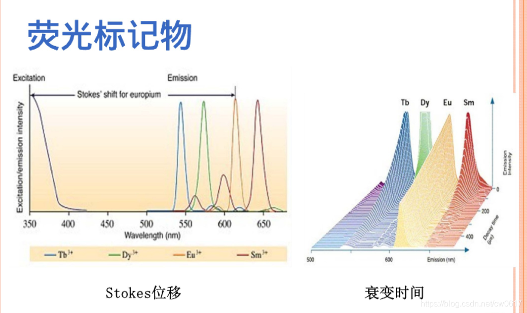 时间分辨荧光免疫分析工作原理是什么