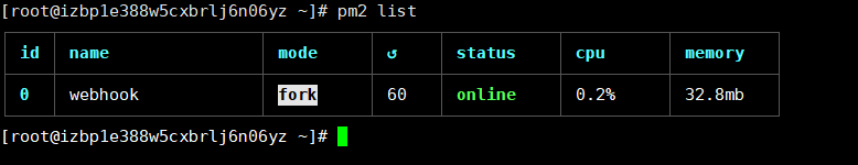 pm2 list