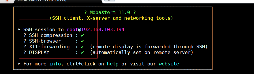 mobaxterm x11 forwarding