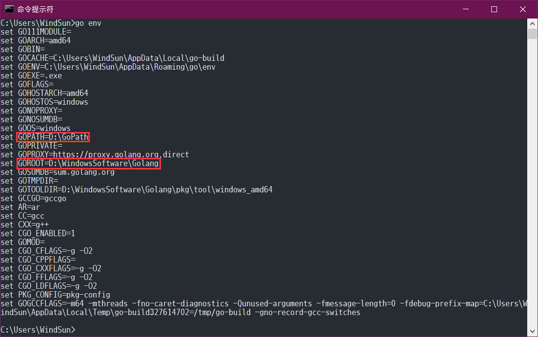 go env