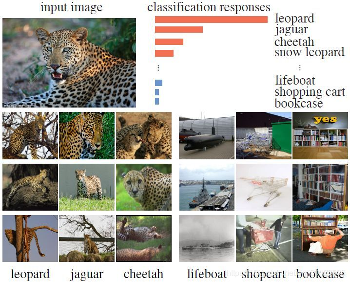 图 1：激励研究者提出无监督方法的有监督学习效果图。以猎豹图片为例，网络输出的几个最高响应类都是视觉相关的，例如美洲豹和猎豹。数据本身的表面相似性而非语义标签，使得某些类比其他类更加接近。该无监督方法将类监督发展到极致，并学习了辨别各个单独实例的特征表示。