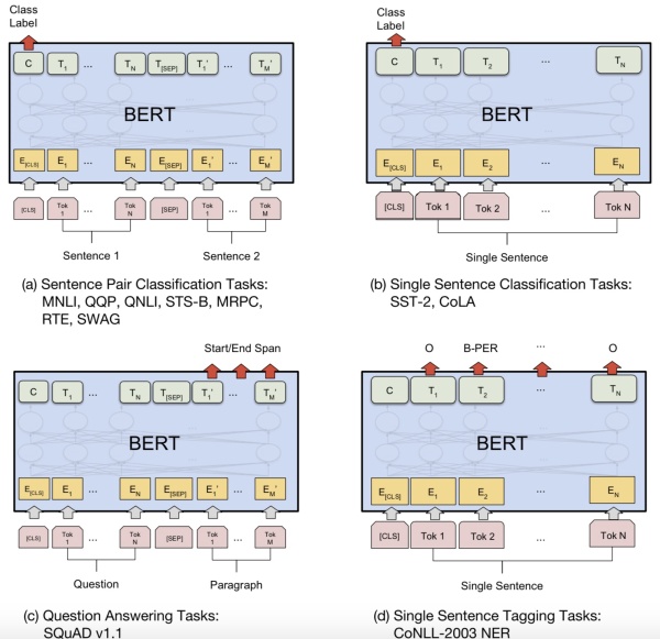 bert 预训练 and fine-tune