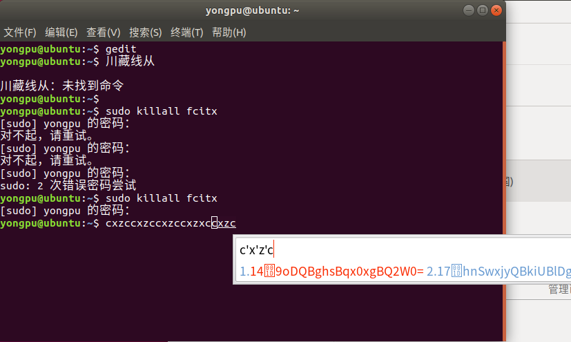 Ubuntu下sougou输入法候选词处乱码 Linux搜狗输入法显示的乱码 Just Code