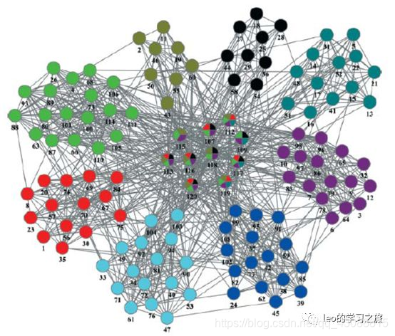 community structure