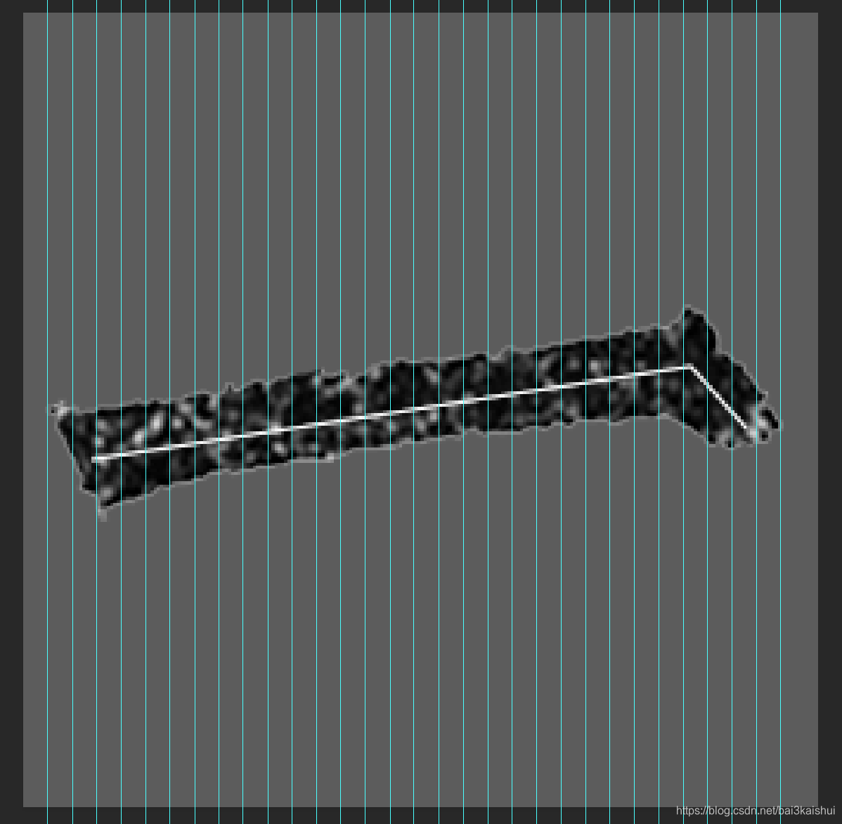 如何测是什么骨架 watermark,type_ZmFuZ3poZW5naGVpdGk,shadow_10,text_aHR0cHM6Ly9ibG9nLmNzZG4ubmV0L2JhaTNrYWlzaHVp,size_16,color_FFFFFF,t_70