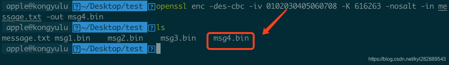 得到加密文件msg4.bin