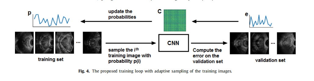 Accurate and robust deep learning-bast segmentation MICCAI 2019最佳论文笔记