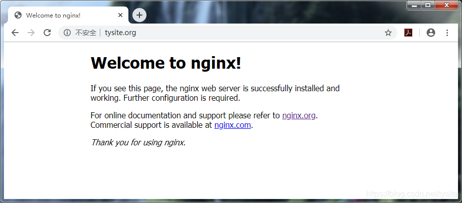 nginx web 服务