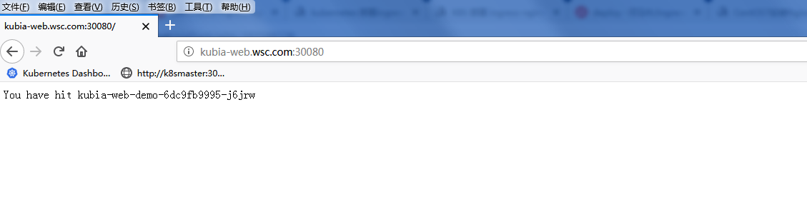 在k8s集群外部访问kubia应用