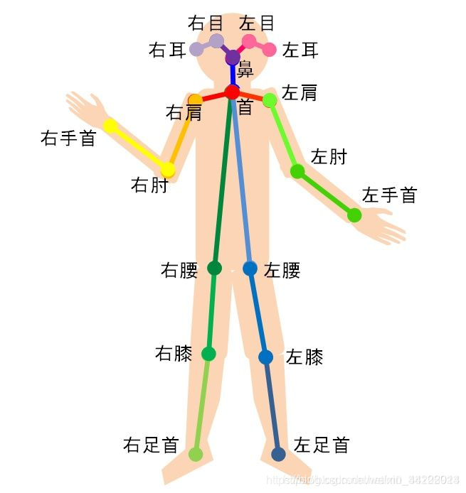 深度学习-人体姿态估计-CSDN博客