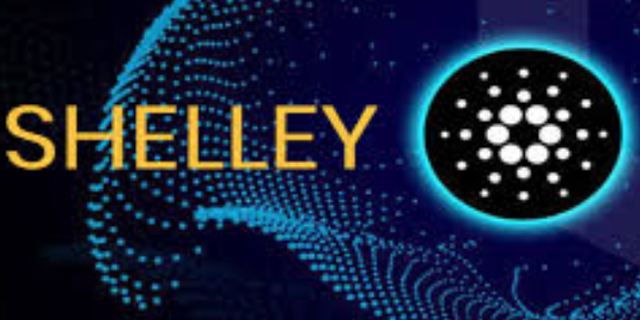 【资讯】卡尔达诺（ADA）被Weiss加密评级评为最被低估的加密货币之一