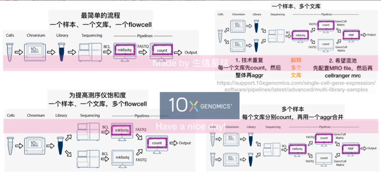 10X_Genomics_scRNA_Seq 名词解释