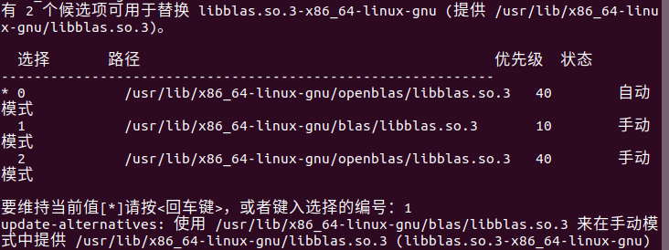 ImportError: /usr/lib/x86_64-linux-gnu/libblas.so.3: Undefined Symbol ...