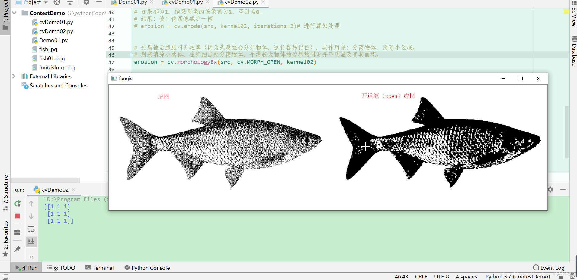 在这里插入图片描述