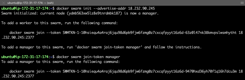 [外链图片转存失败,源站可能有防盗链机制,建议将图片保存下来直接上传(img-kUaDCYQk-1577184158824)(fabric-raft-multi-host/host1-swarm.png)]