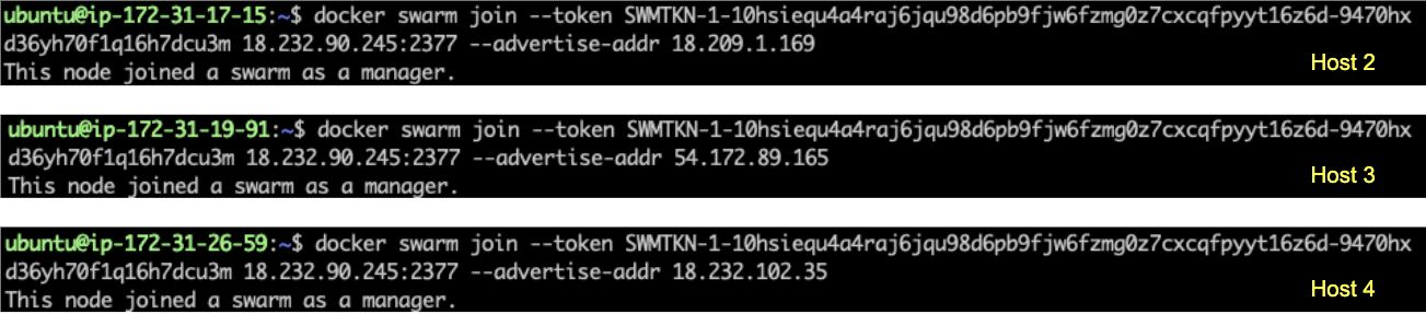 [外链图片转存失败,源站可能有防盗链机制,建议将图片保存下来直接上传(img-AdQVbhcO-1577184158826)(fabric-raft-multi-host/host234-swarm.png)]